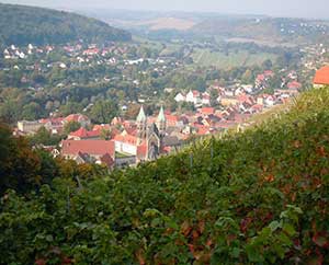 Freyburg Saale-Unstrut-Weinanbaugebiet