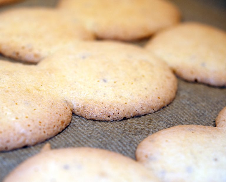 Anisplätzchen bei Völlegefühl und Blähungen. Aus einem Rezept-Buch für ...