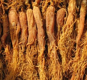 Roter Ginseng, Quelle: Archiv KGV, 2018 (Korea Ginseng Vertriebs GmbH, Lohmar)